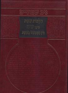 ניב שפתיים הלכות שבת