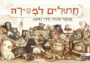 חתולים למסירה - הדר ראובן מטר
