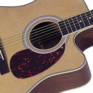 ‏גיטרה אקוסטית Walden AG450C