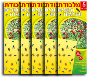 מלכודת דבק ללכידת זבובים, ברחשים וכנימות - צהובה - 5 חבילות  אוזן שופ