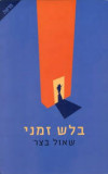 בלש זמני (יד 2) - שאול בצר