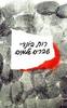 שברים שלמים (יד 2 כחדש) - רות בונדי