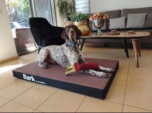 מזרן Bark 100x150 לכלבים גדולים