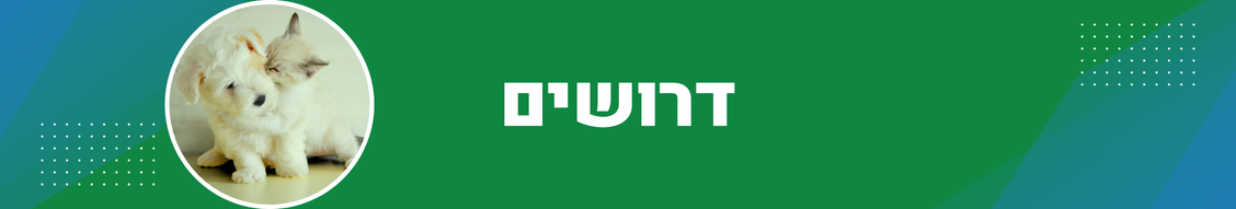 הצטרפו אלינו