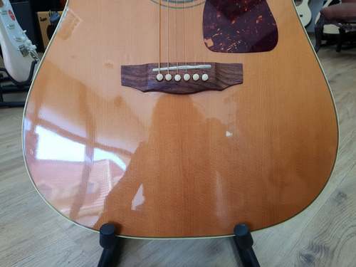 Guild D40ce Standard 2010 USA