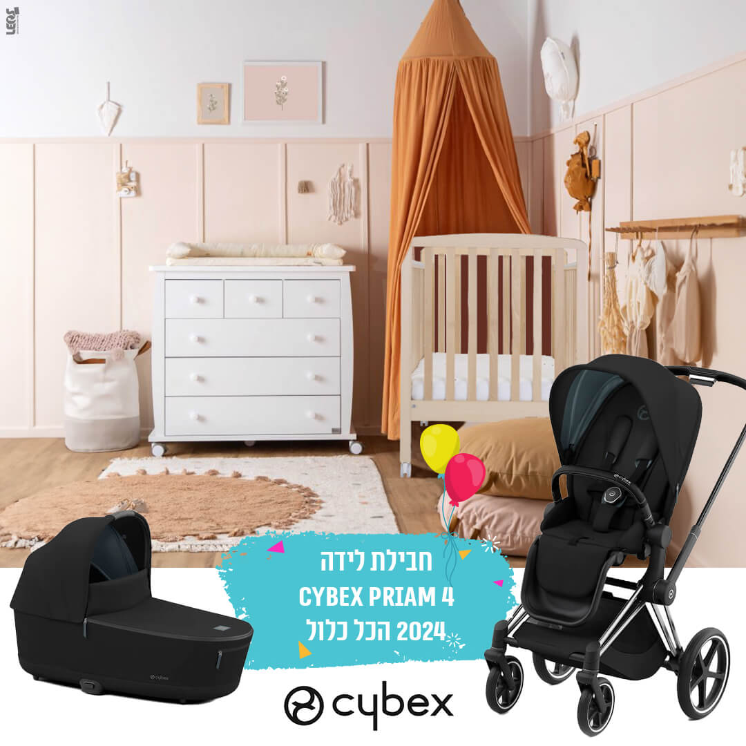 חבילת לידה פריאם 4 Priam