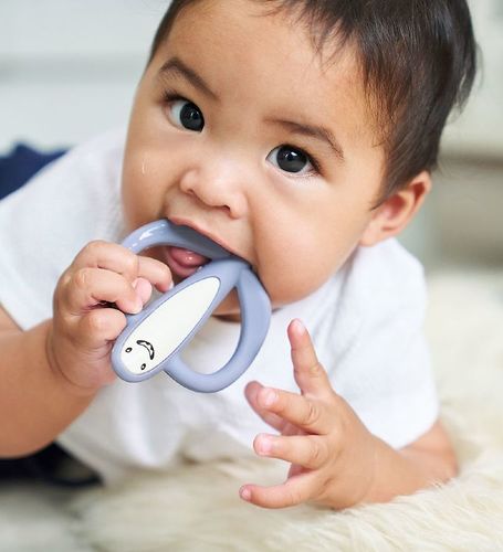 נשכן כריש עם מברשת שיניים הראשונה מסיליקון רפואי