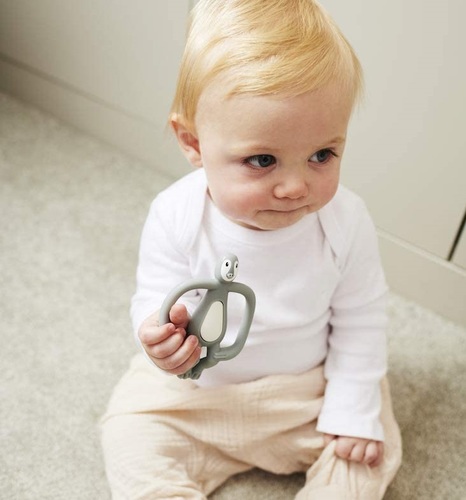 נשכן פינגווין עם מברשת שיניים הראשונה מסיליקון רפואי