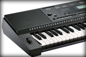 אורגנית Kurzweil KP110 
