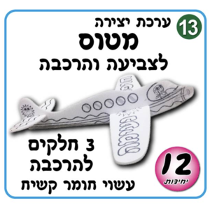 מטוס לצביעה והרכבה