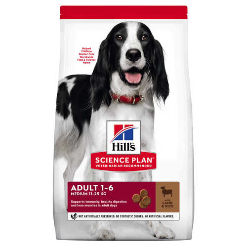 Hill