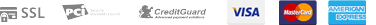 payment_icon