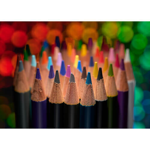 עדשת Nikon NIKKOR Z MC 105mm f/2.8 VR S