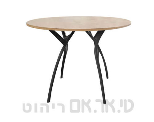 מידות לשלד אביב