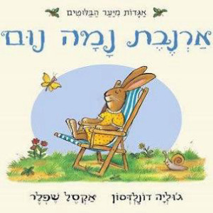 ארנבת נמה נום (יד 2 כחדש) - ג'וליה דונלדסון הפורמט המקורי הגדול 24*21 כנרת