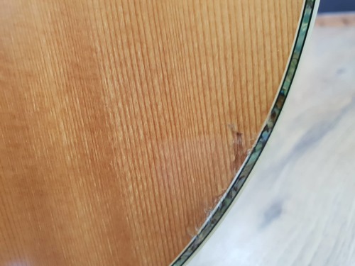 Takamine EG540DLX 