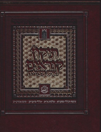 תיקון קוראים איש מצליח ענק