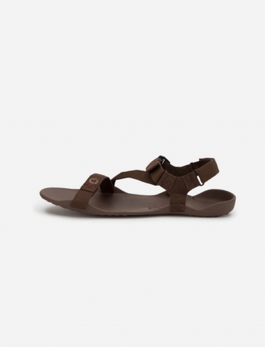 סנדלים לגברים חום - Xero Z-Trek Men