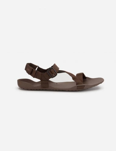 סנדלים לגברים חום - Xero Z-Trek Men