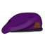 Baccd1169d90e86e13ffc3cd4e005923
