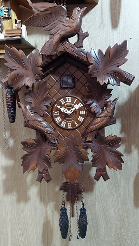 טיול ליער השחור