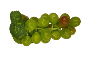 אשכולות ענבים מלאכותיים 10 יחידות