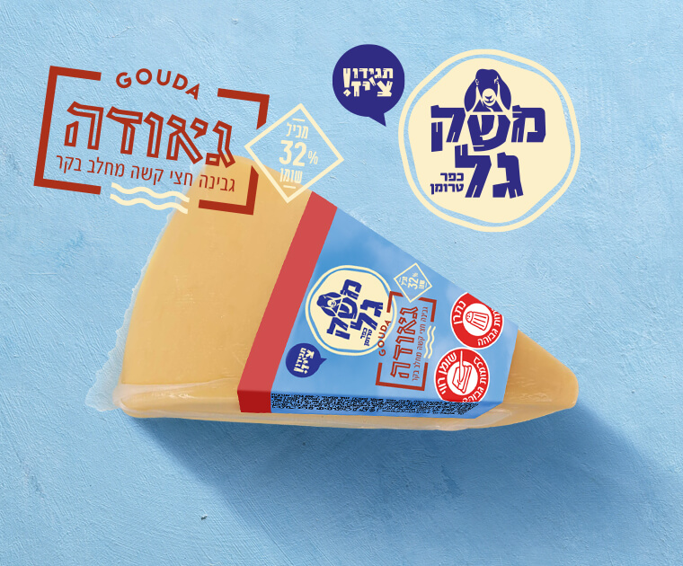 גאודה בקר