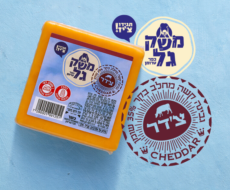 גבינת צ