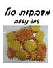 מדבקות סול שמש נוצצת