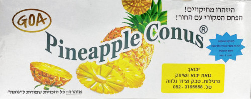 גחל אננס חור Pineapple Conus גואה לבן