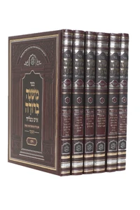 סט משנה ברורה - איש מצליח