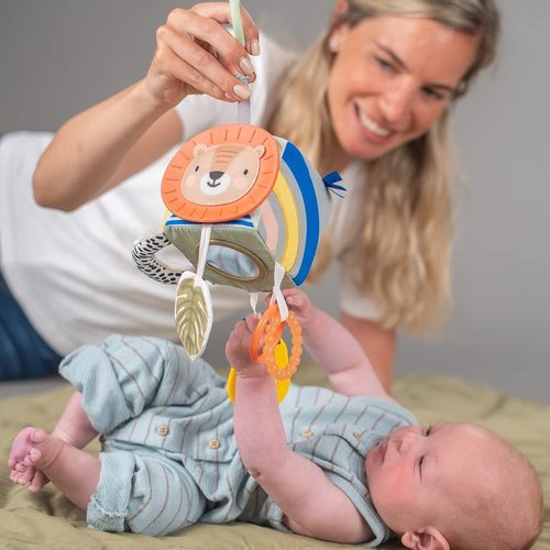 קוביית התפתחות עם רעשן פעמון , נשכן ומראה - סוואנה