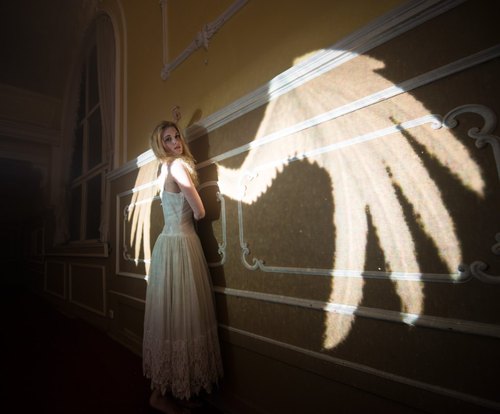Wing Effects Kit for Light Blaster Strobe