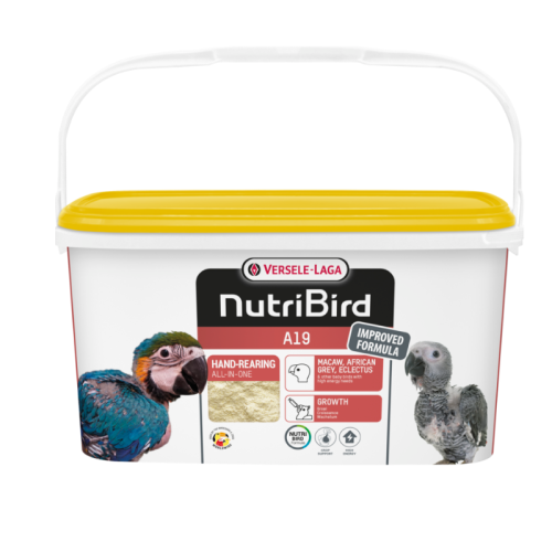 האכלת יד A19 תוכי גדול 3 ק