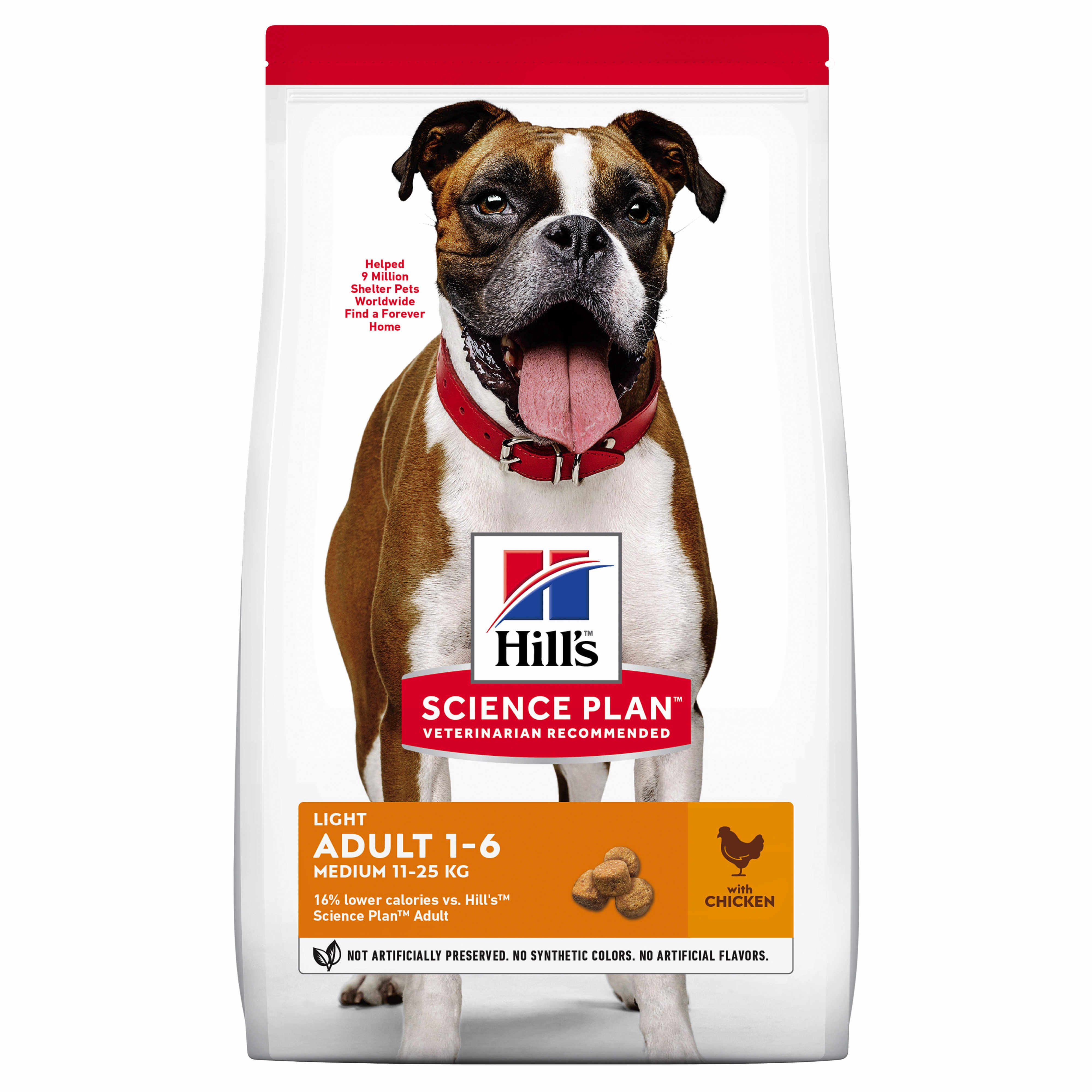 Hill