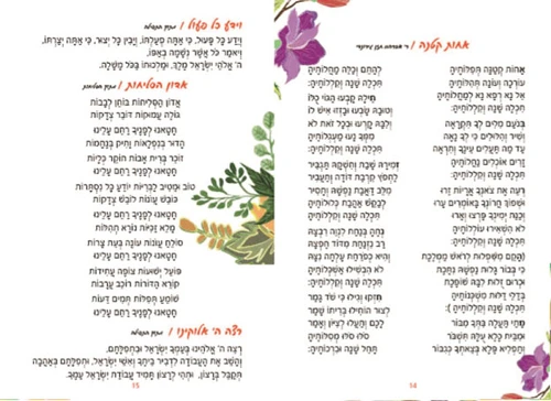 50 יח' סדר ליל ראש השנה עם שירי החג שירי שבת וברכת המזון- בעיצוב אישי (M)