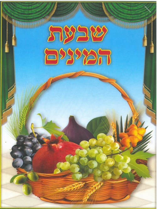 20 חוברת צביעה שבעת המינים