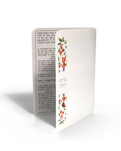 ברכת המזון