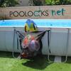 רשת אחסון ציוד לתלייה בצידי הבריכה POOLOCKS NET