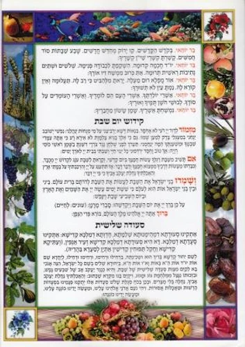 50 יחידות סדר קידושים וברכות לשבת בעיצוב אישי