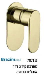 אינטרפוץ 3 דרך סבח 707111 ברונזה