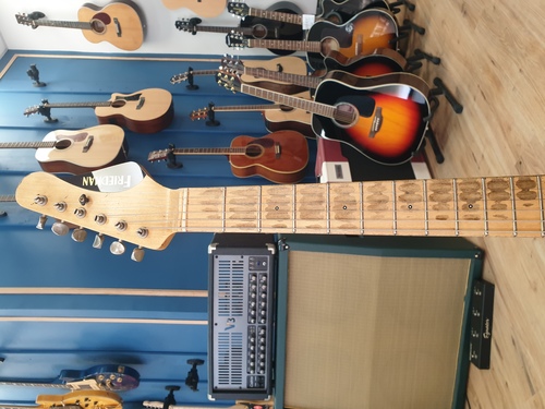 גיטרה חשמלית Friedman Vintage T Guitar, Vintage White