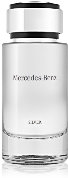 Mercedes-Benz Mercedes-Benz Silver