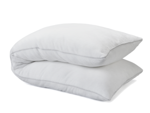 כרית גוף ד"ר גב Trevira Ecobody Pillow