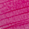 4c894c2558b021380604ed8998f96284