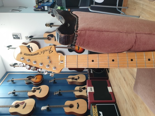 Fender Vintera '70s Stratocaster - Aged Natural 2018