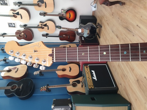 Fender Stratocaster Deluxe 2005