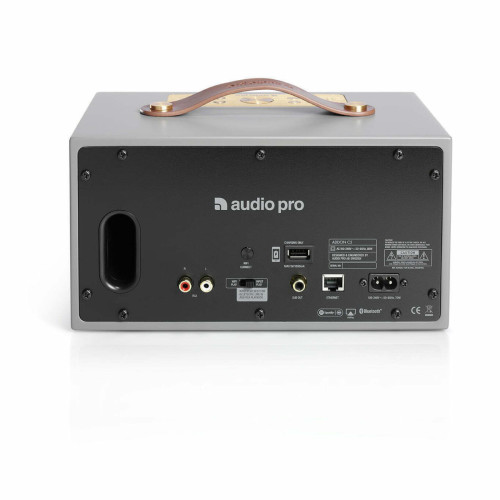 רמקול Audio Pro C5MkII