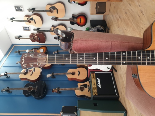 Taylor 110ce 2009