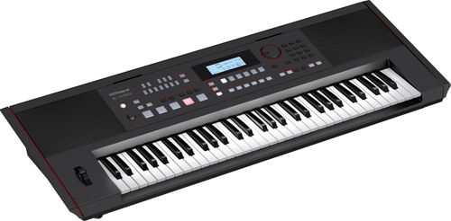 זוית נוספת Roland E-X50 Arranger